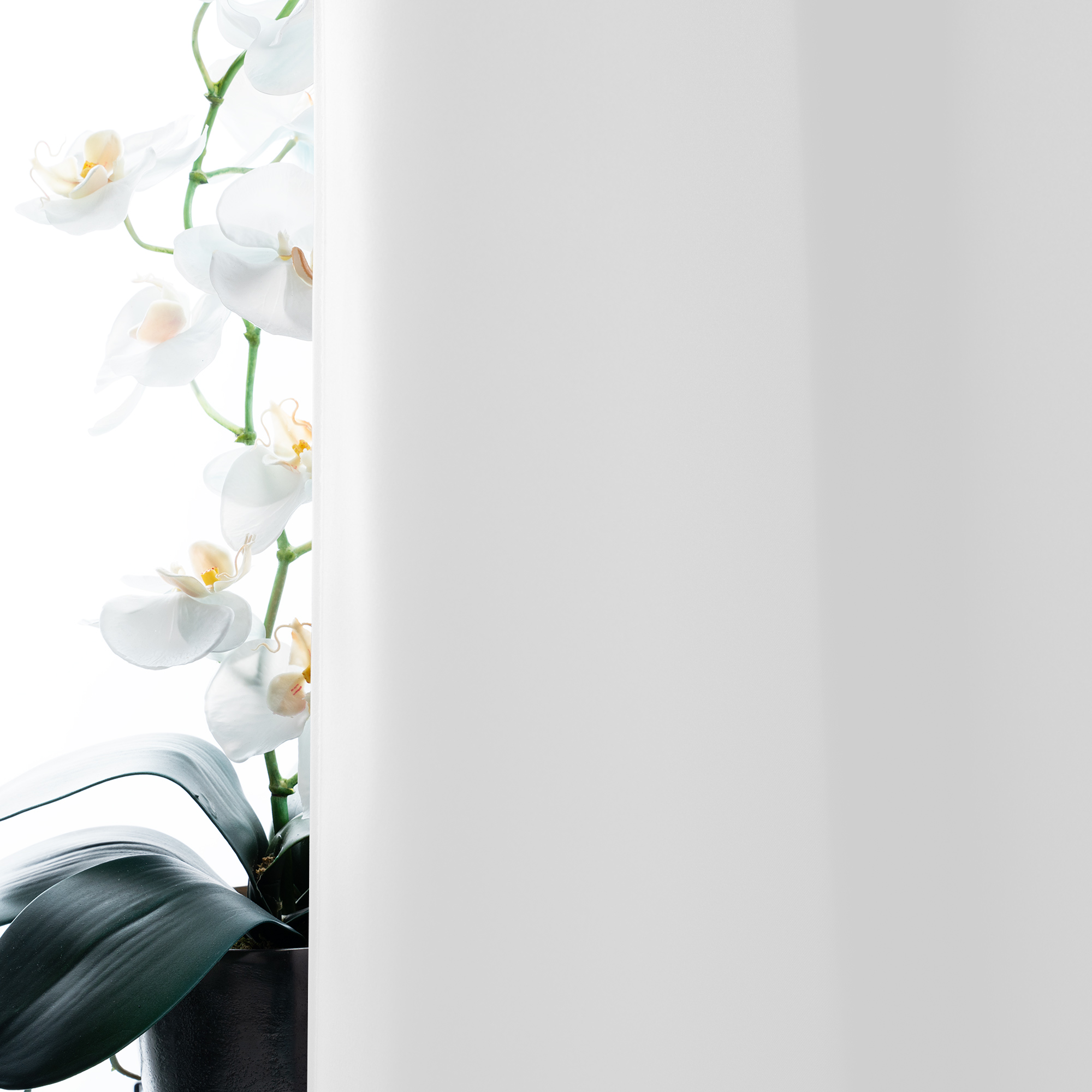 slider_image_0198f79d7e5e73b5bef2cf8688f3634e