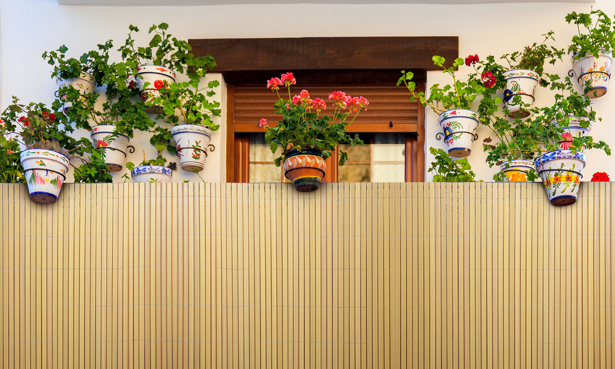 slider_image_0198fb3a7a5673a3b1f8d758a637f4d7 slider_image_0198fb3a7a5673a3b1f8d758a637f4d7