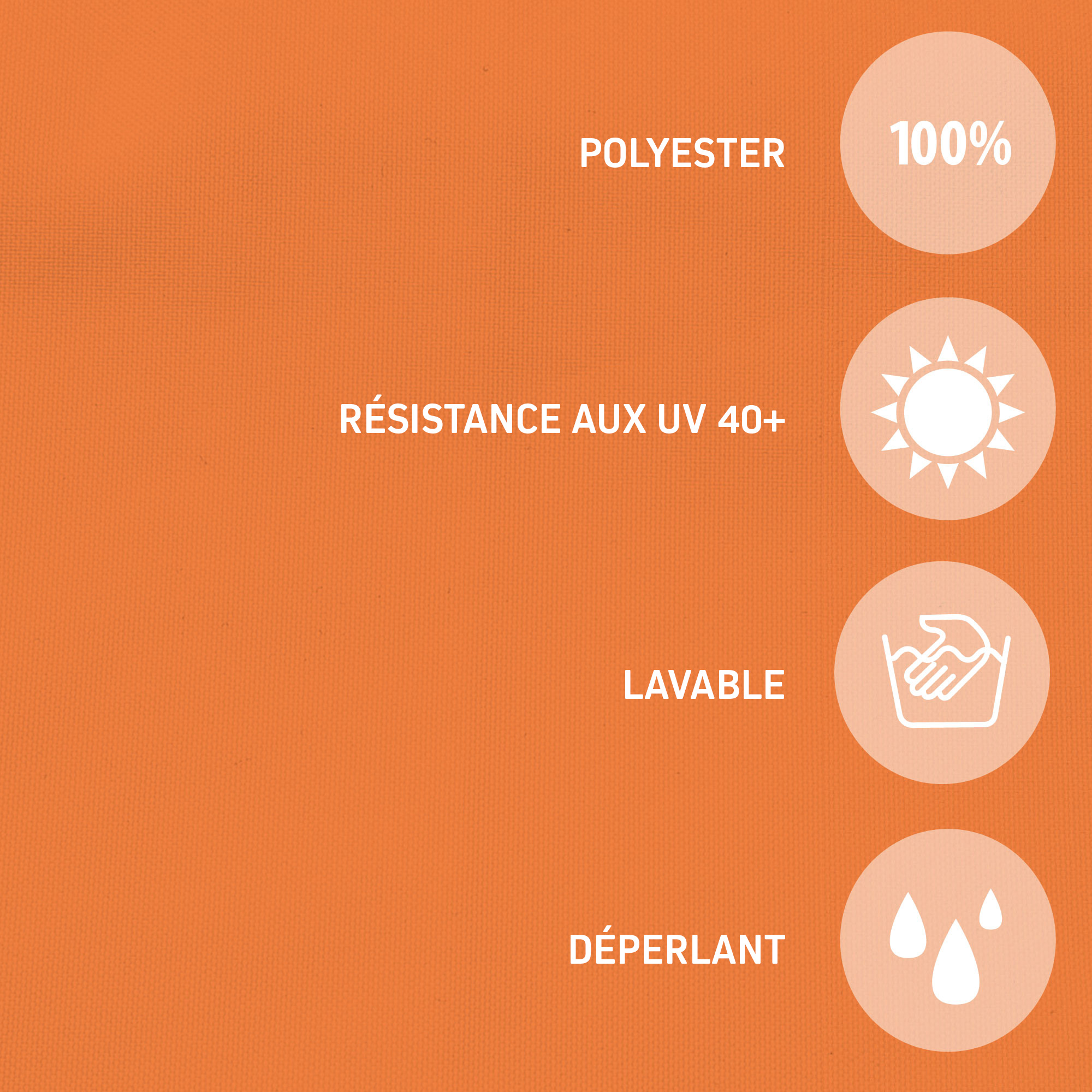 slider_image_019a733f5bea7940bbec80f67963f8a1