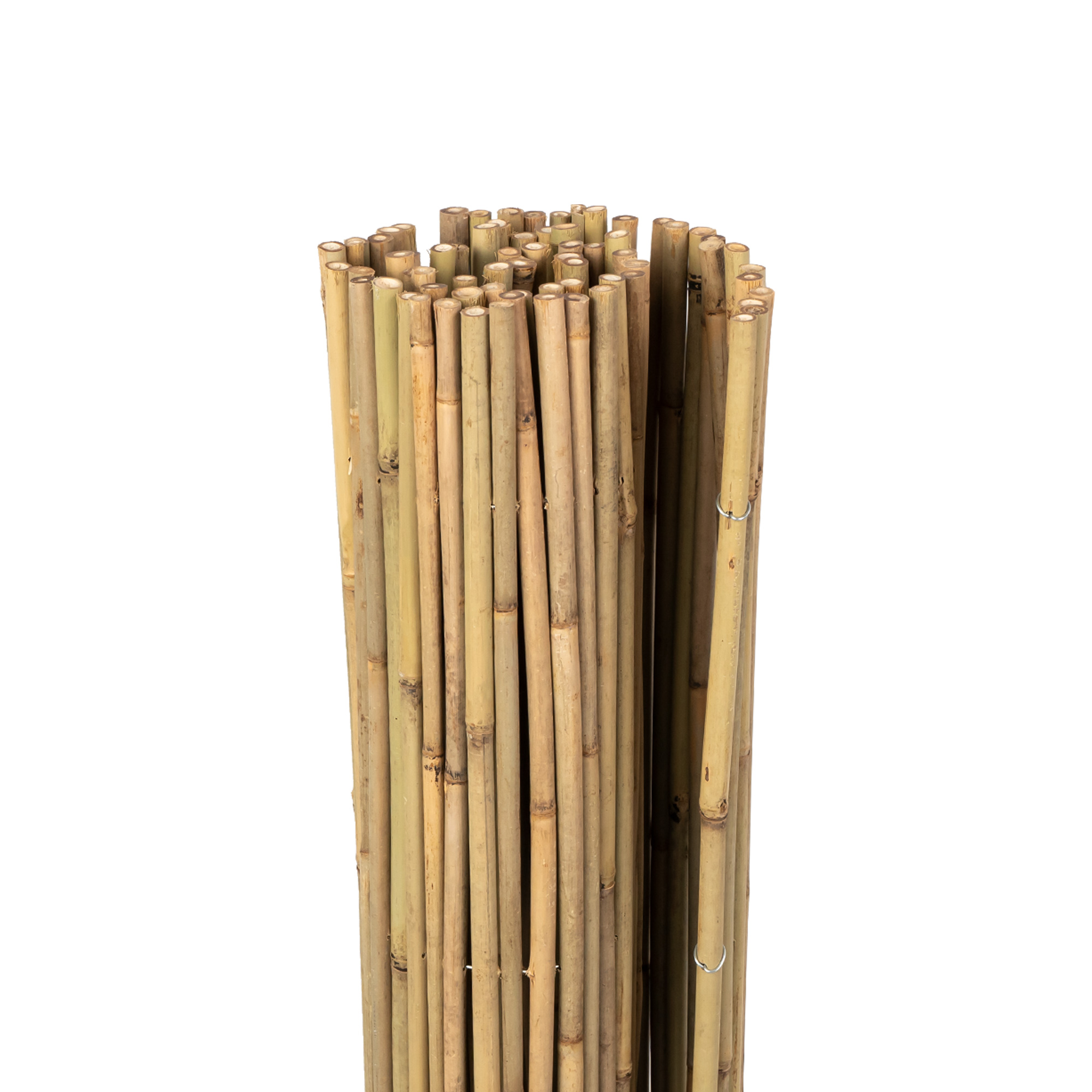 Canisse en bambou Premium (Types au choix)