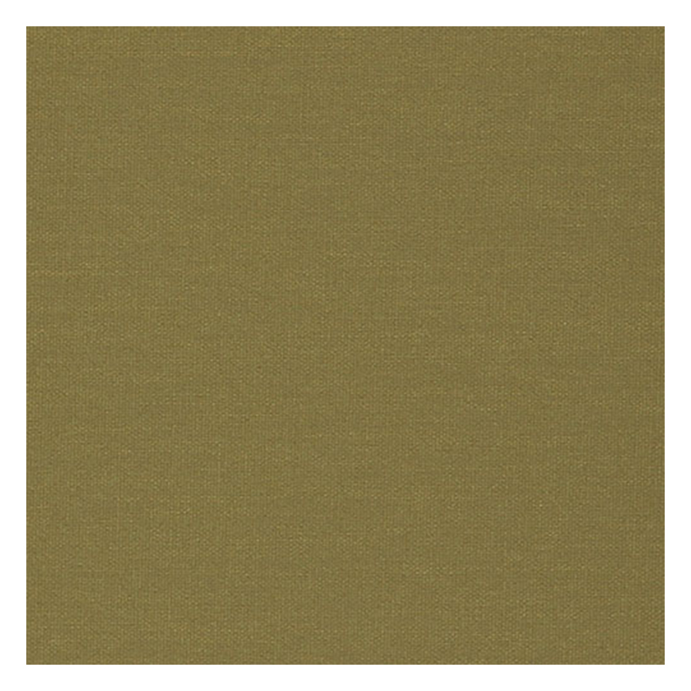 Échantillon tissu pour store bateau sur mesure A-1632 vert / translucide / Athènes